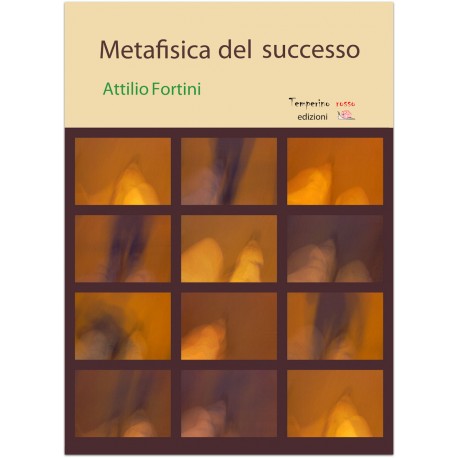 Metafisica del successo *LIBRO