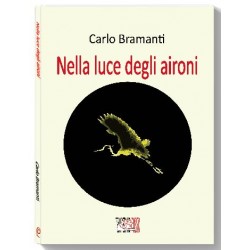 Nella luce degli aironi
